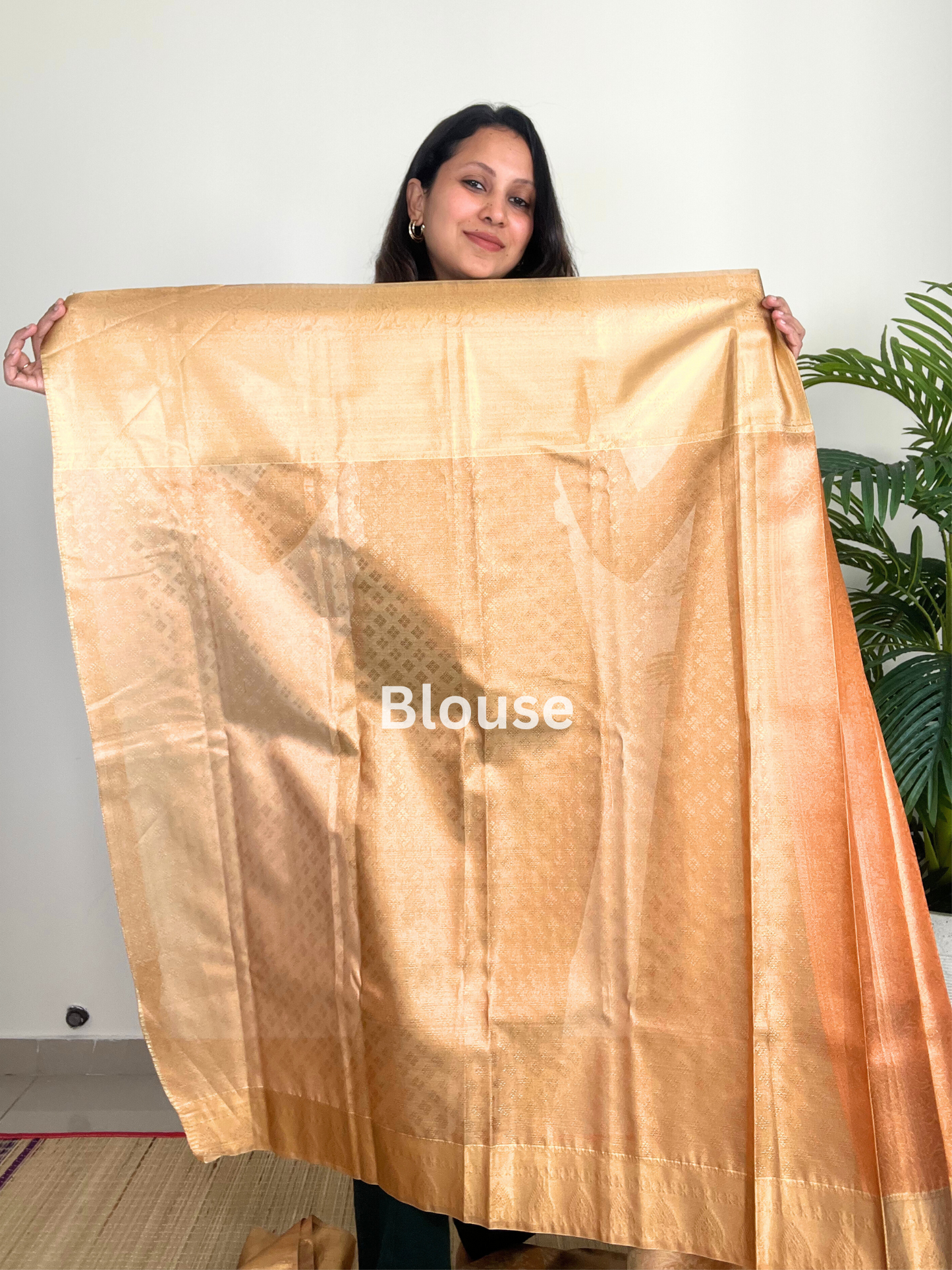 Gold and Orange - Tissue Saree