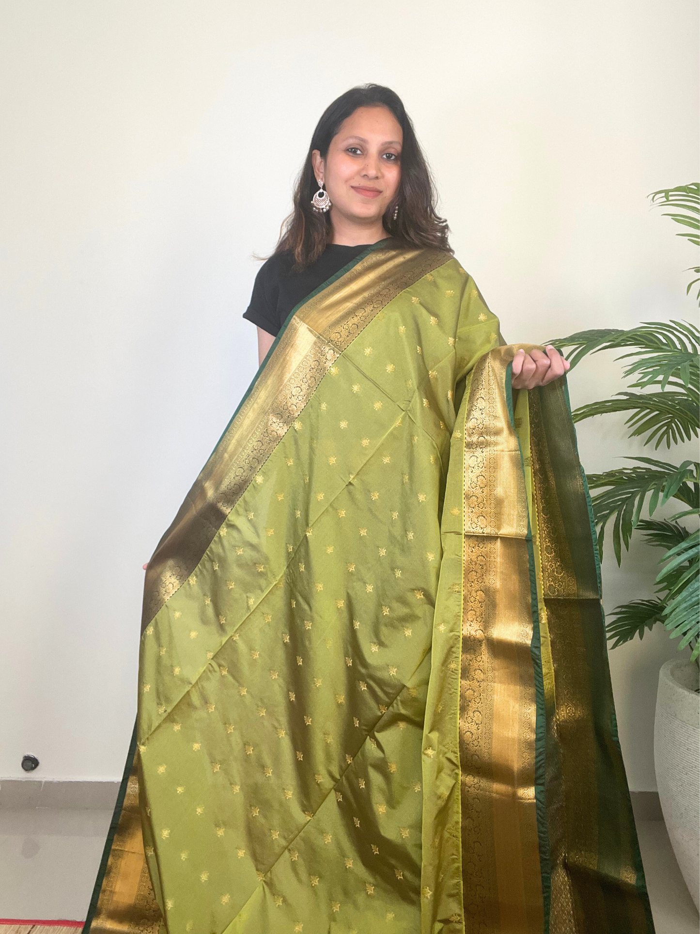 Light Green and Dark Green - Soft Silk Saree