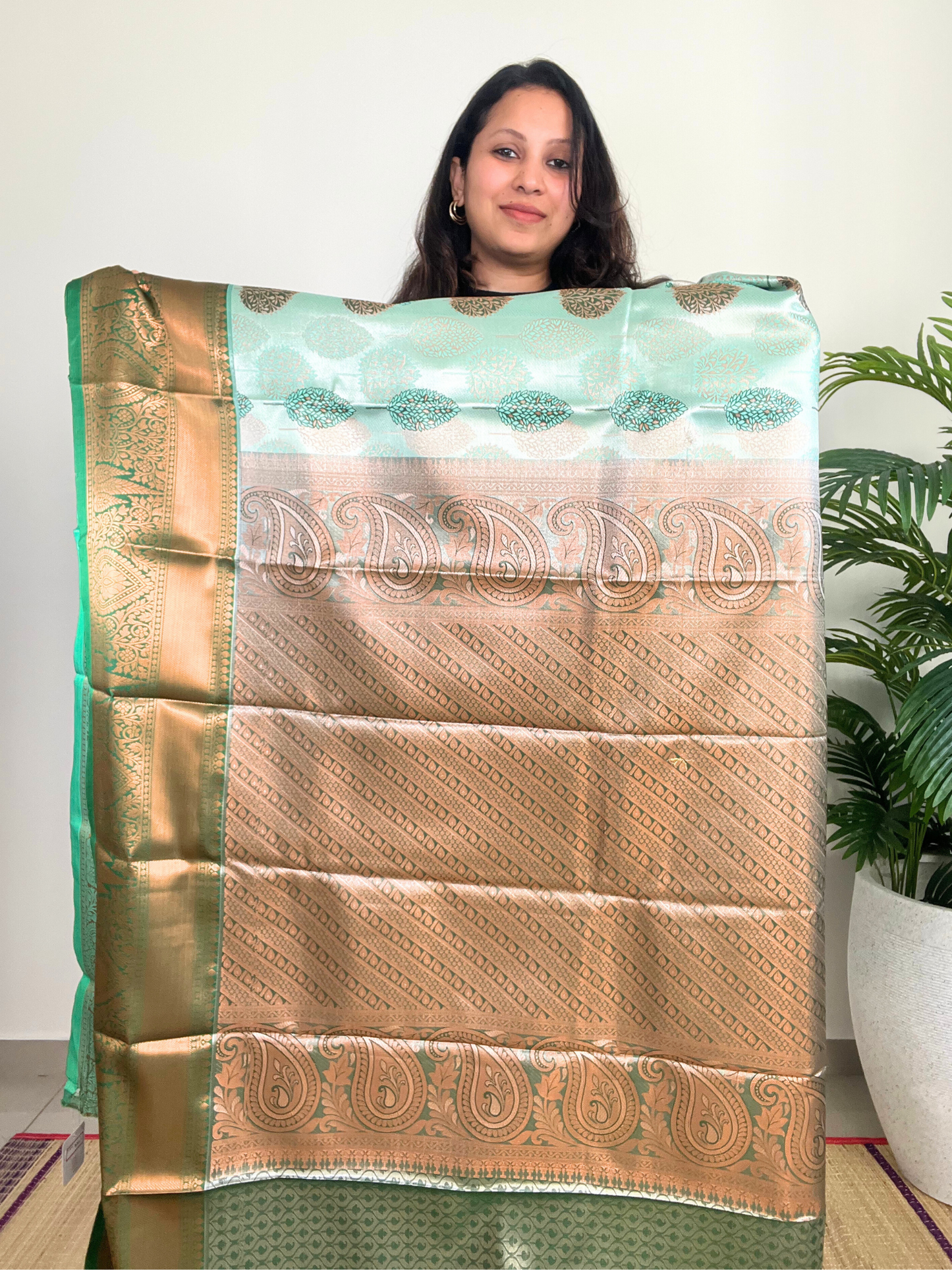 Light Green - Tissue Saree