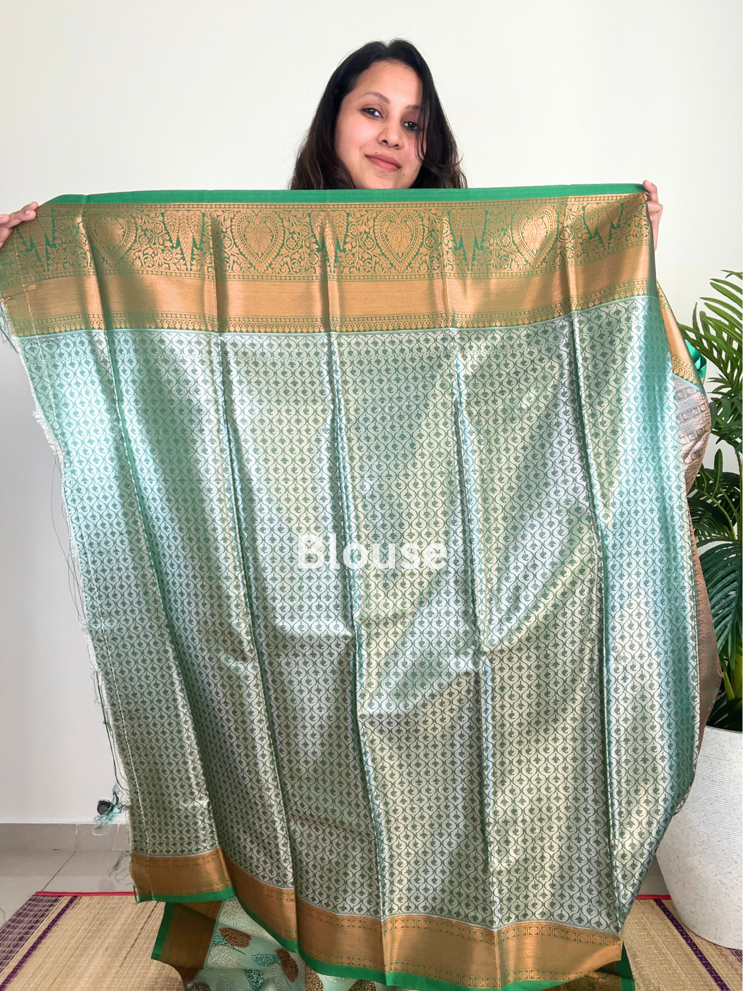 Light Green - Tissue Saree