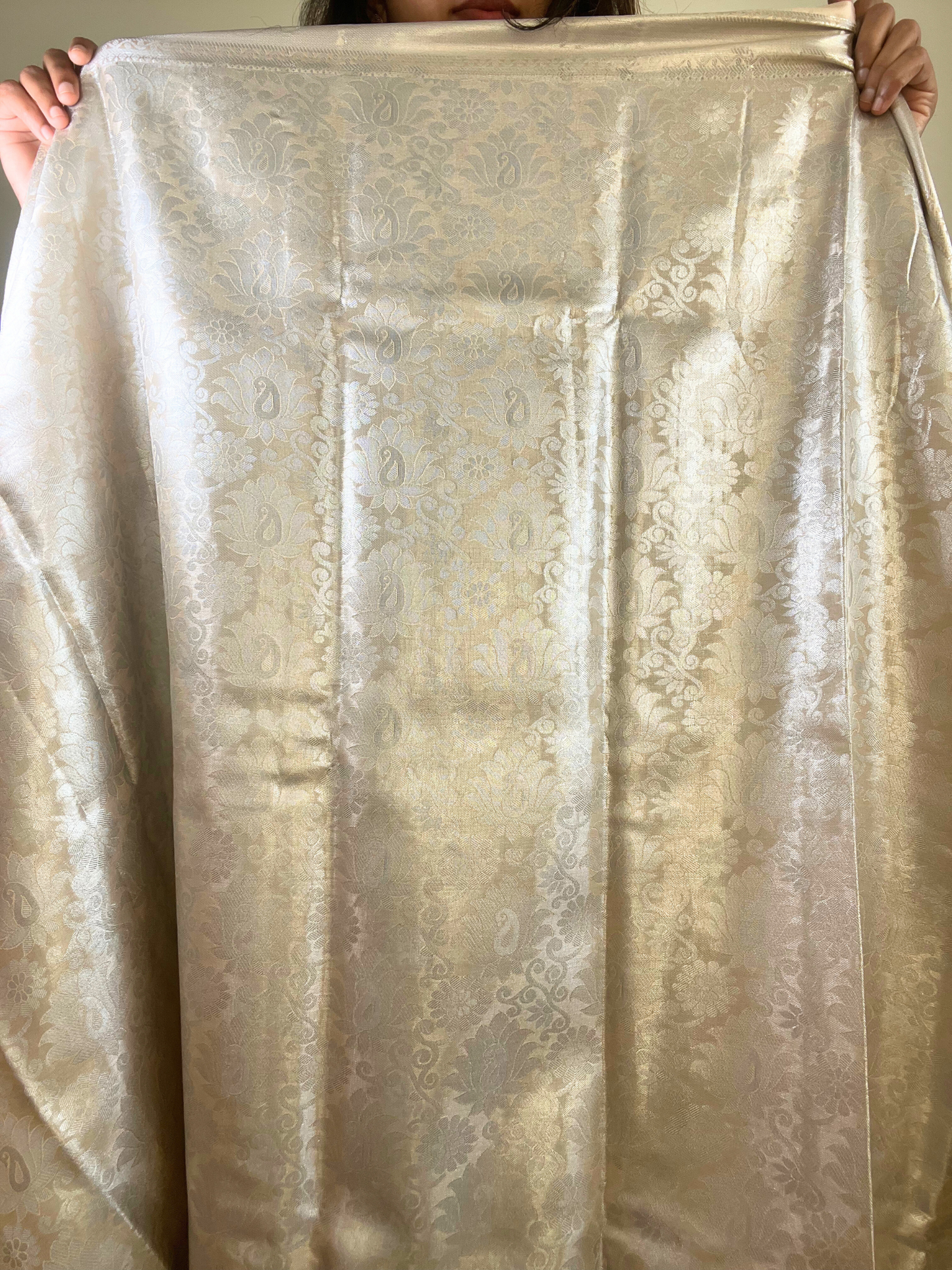 Cream Colour - Tissue Soft Silk Saree