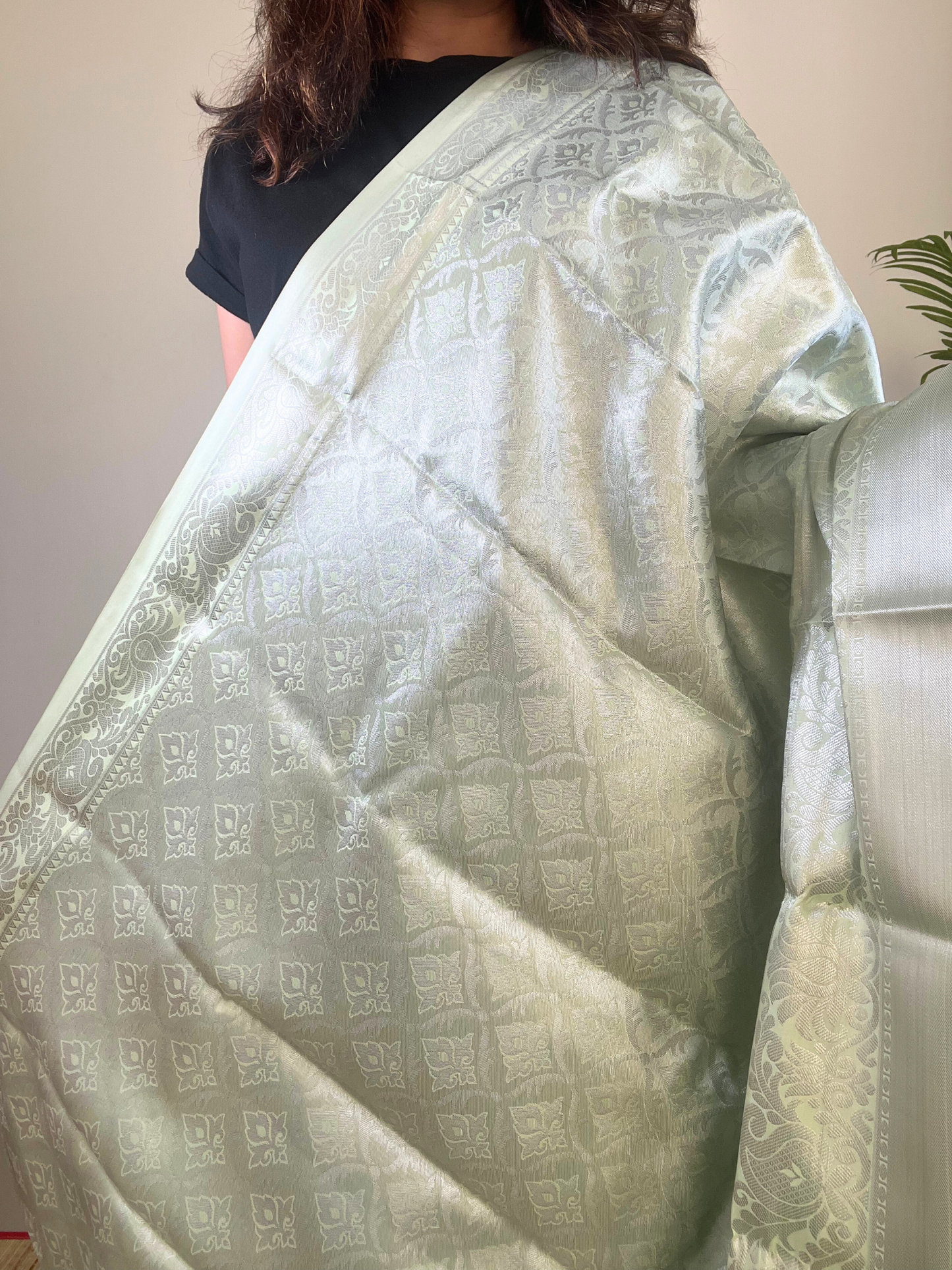 Light Green - Tissue Soft Silk Saree