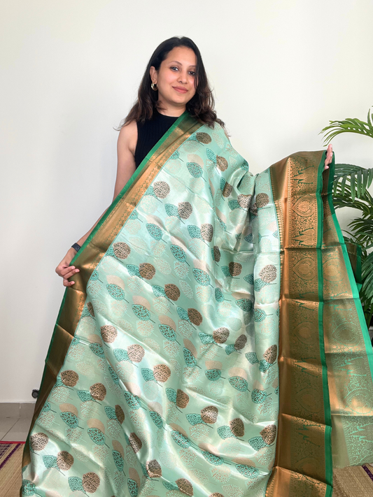 Light Green - Tissue Saree
