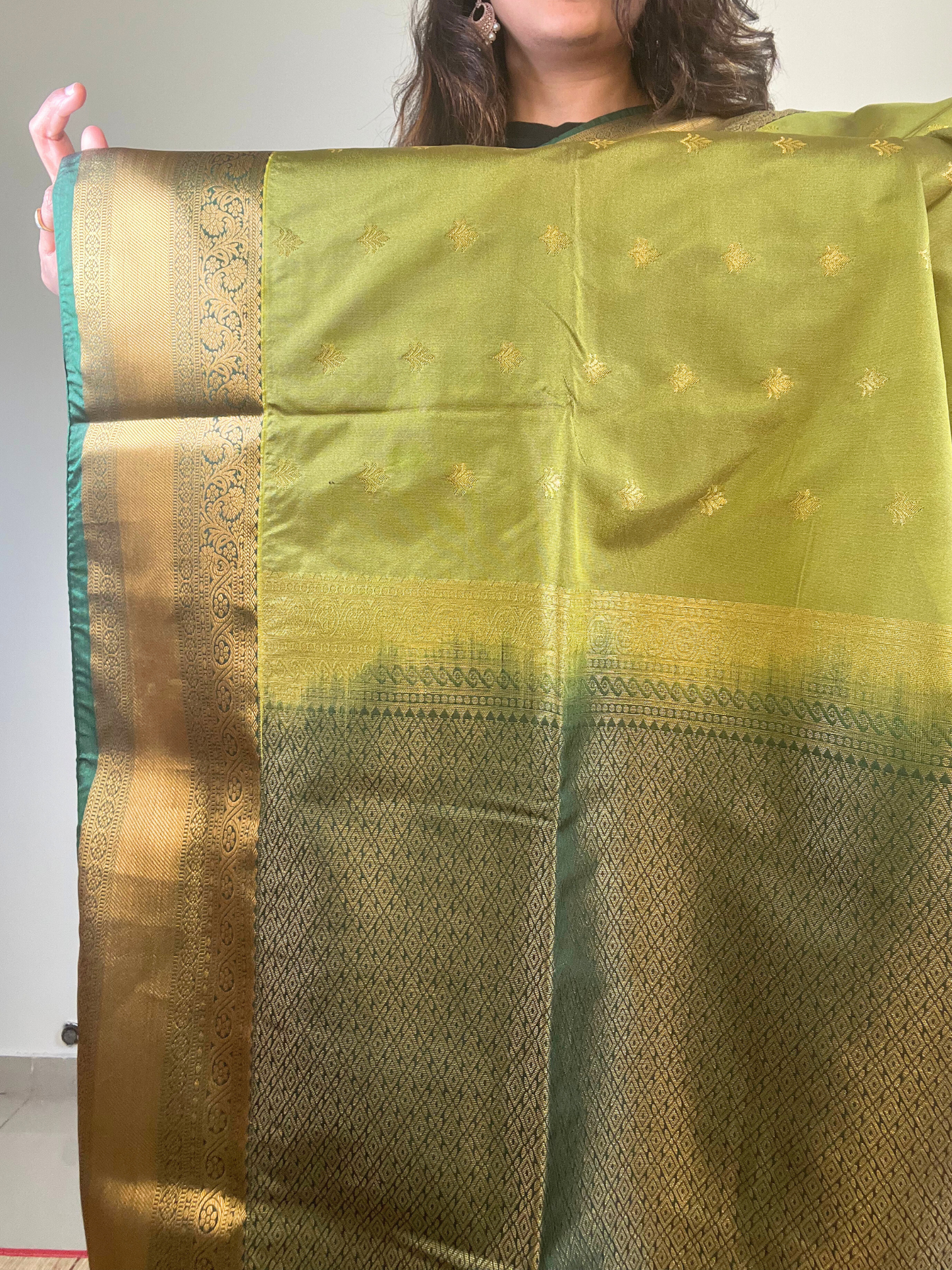Light Green and Dark Green - Soft Silk Saree