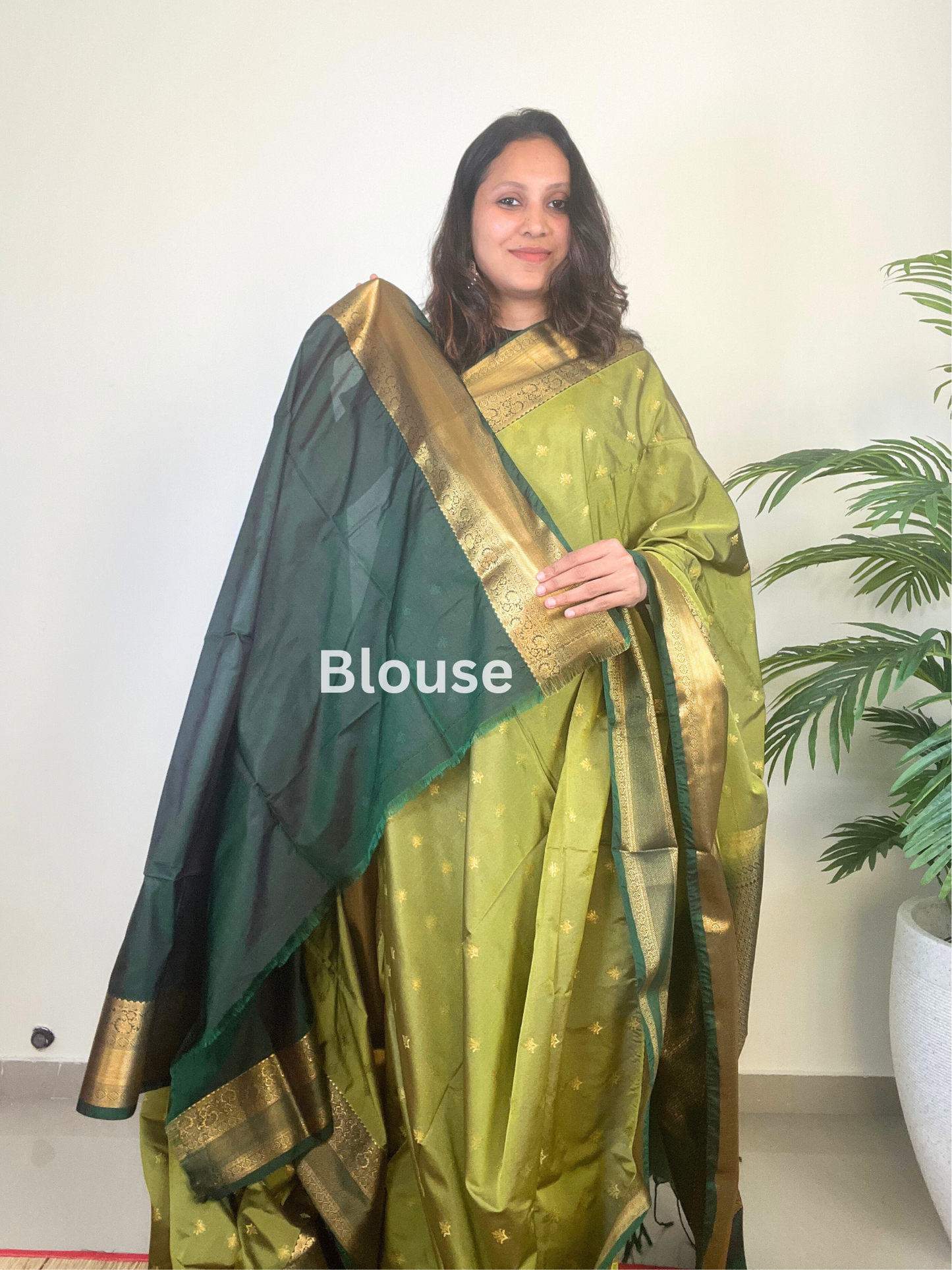 Light Green and Dark Green - Soft Silk Saree